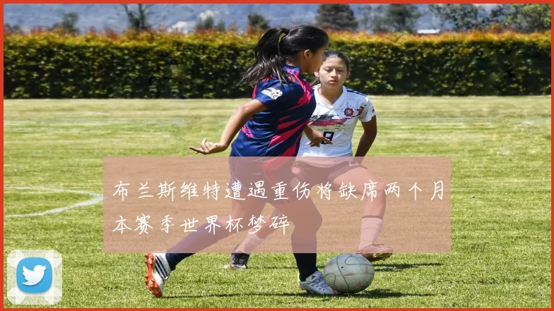 布兰斯维特遭遇重伤将缺席两个月本赛季世界杯梦碎