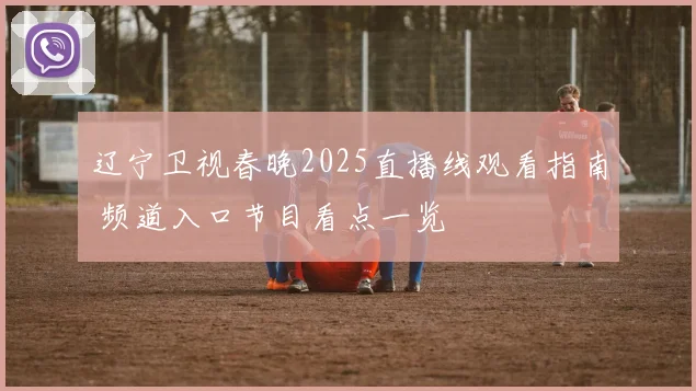 辽宁卫视春晚2025直播线观看指南 频道入口节目看点一览