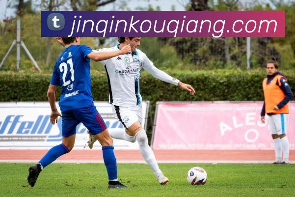 星空官方登录网站平台生态图